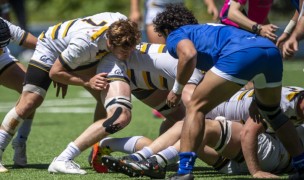 Cal fighting for the ball in the ruck. David Barpal photo.