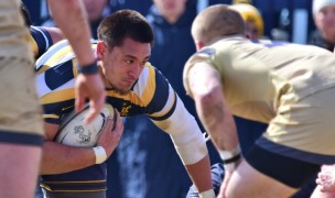 Cal won't play Navy this week, but what about later? Photo David Hughes.