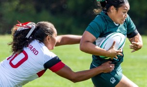 Dartmouth scored 33 against Harvard, but the Crimson doubled Big Green's points-against with 80 minutes of work. Photo Dartmouth