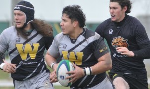 Ivan Delgado for Western Michigan. Roger Mazzarella photo.