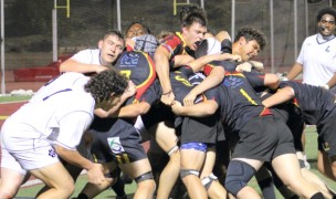 Torrey Pines mauls it over. Alex Goff photo.