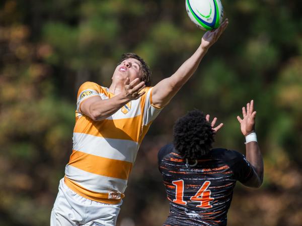 Tennessee vs Sam Houston State. Photos Will Fagan.