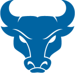 U Buffalo Bull
