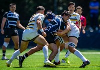 BYU took the lead for about four minutes in the second period before two late tries saw Cal home. David Barpal photo.