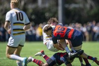 Cal vs Saint Mary's. David Barpal photo.