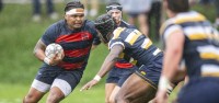 Saint Mary's vs Cal was just a couple of weeks ago. David Barpal photo.