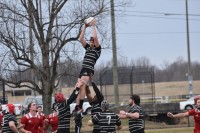 Lindenwood, in black. wins a lineout. Richard Carvell photo.