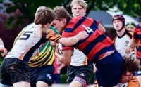 Cardinals (red and blue) vs Tigers (white and orange). Photo Jim Eversole.