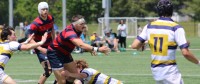 Charlotte Cardinals vs St. Ignatius. Alex Goff photo.