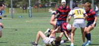 Charlotte Cardinals vs St. Ignatius. Alex Goff photo.
