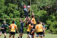 Charlotte in gray, Jaguares in orange. Charlotte Tigers Rugby photo.