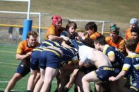 With his shirt pulled over his head, Marty Lenehan kept on playing. Photo Charlotte Tigers.