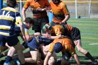 With his shirt pulled over his head, Marty Lenehan kept on playing. Photo Charlotte Tigers.