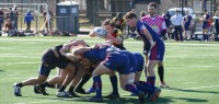 Action from the Maryland 7s. Linda Zvitkovitz photo. 