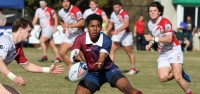 St. Thomas scrumhalf Trepang Matubatuba. Photo Calder Cahill.