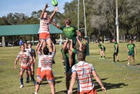 Lineout changes helped the Gators win. Photo Connor Brady.