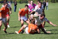 Indiana in white, Illinois in orange. Andy Marsh photo.