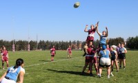 KU vs TCNJ. Alex Goff photo.