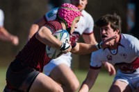 Louisville vs South Carolina. Will Fagan photo.