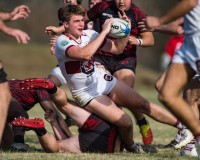 Louisville vs South Carolina. Will Fagan photo.