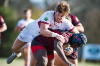 Louisville vs South Carolina. Will Fagan photo.