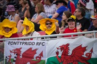 Fans love to dress up at the Sevens World Series. David Barpal photo.