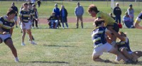 Moeller runs, Ignatius tackles. Alex Goff photo.