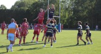 St. Ignatius reaches for the lineout. Alex Goff photo.