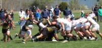 St. Edward takes the ball on an eightman pick against Royal Irish. Alex Goff photo.