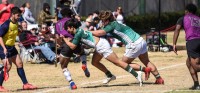 Strake Jesuit in green, and Cy Fair in purple. Photos David Bennet.