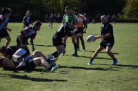 Photo Sumner County Rugby.