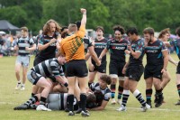 Harlequins score. Photo Lucinda White.