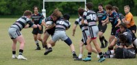 Harlequin Rugby vs Germantown. Lucinda White photo.