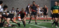 Torrey Pines in black and red, St. Francis in stripes.