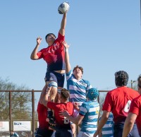 Arizona wins a lineout. J. Dalton Photography.