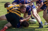 UVA will play VCU in the Cardinals final. Photo Napoleon Afework @caughtbynap.