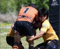 West Houston put it St. Pius X. Photos West Houston Rugby.