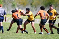 West Houston put it St. Pius X. Photos West Houston Rugby.