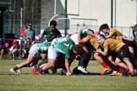 West Houston in yellow, Strake Jesuit in green.