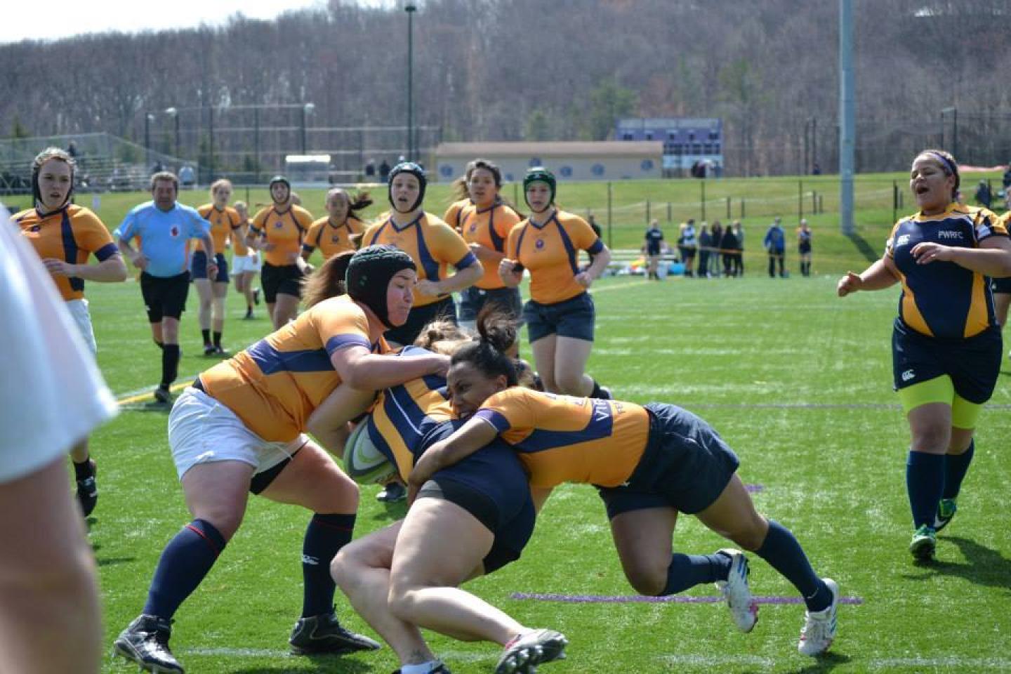 11076896 10153206457093524 1930604847 n 11076896 10153206457093524 1930604847 n