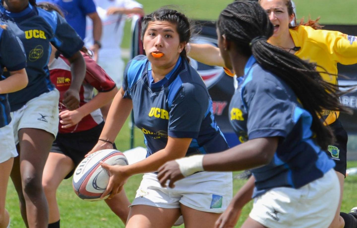 11143132 1573459326259448 884756769537475088 o 11143132 1573459326259448 884756769537475088 o