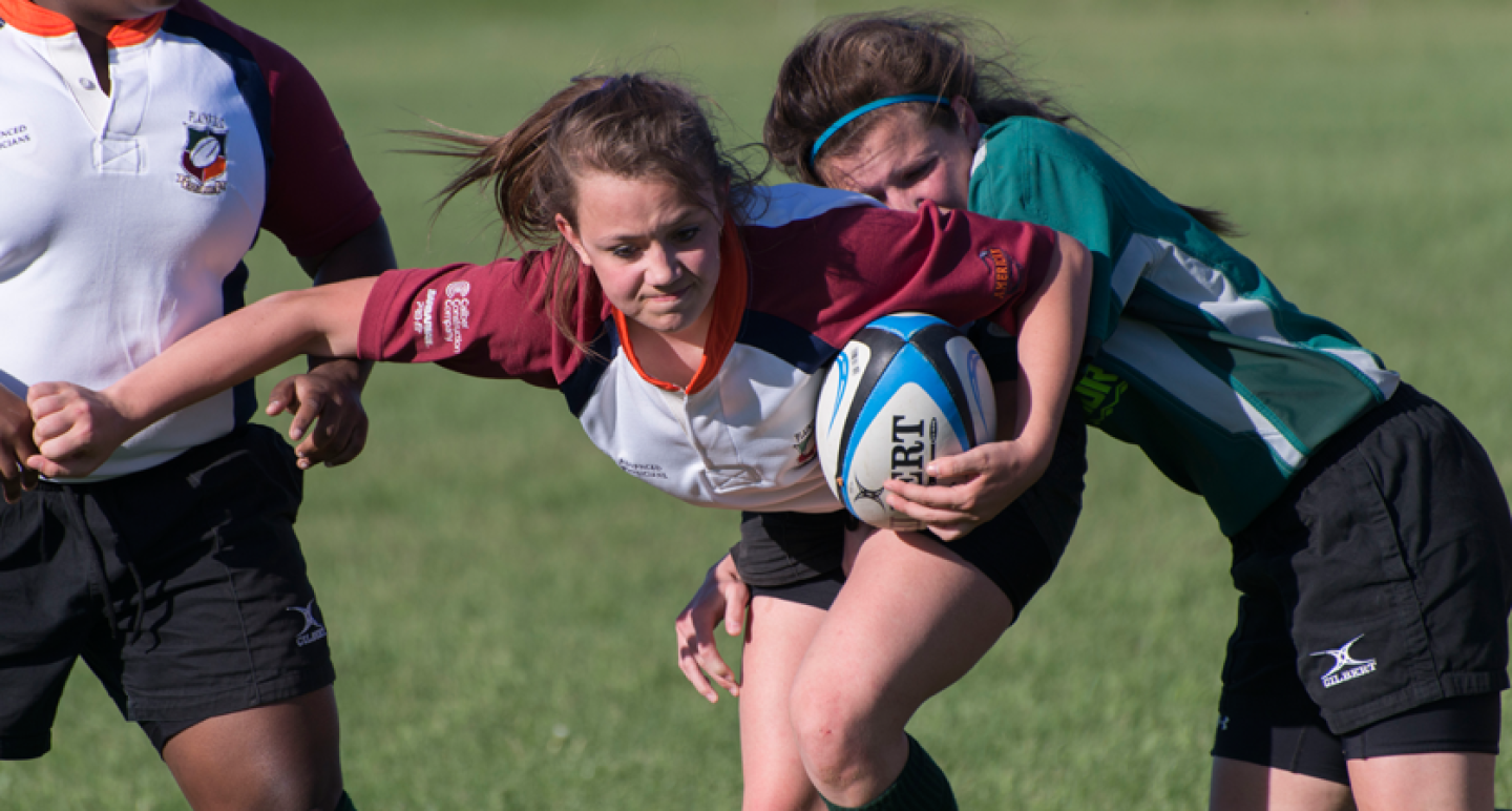 1D81 1162 copy 1D81 1162 copy