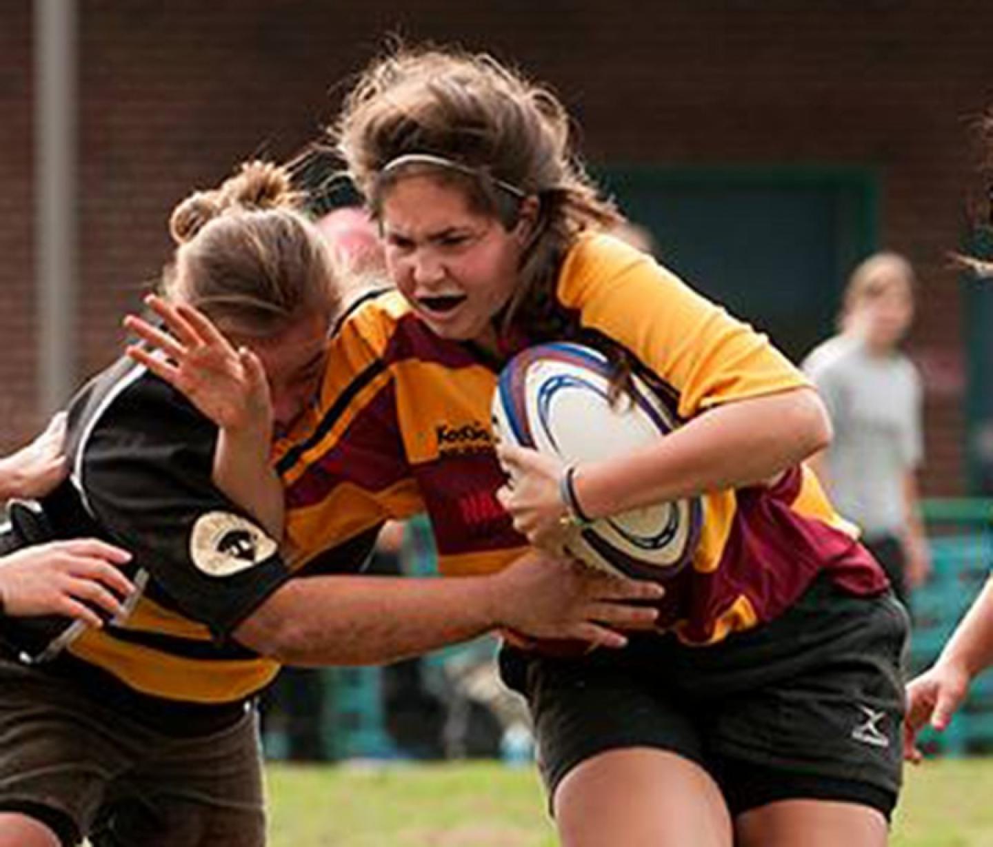 3515598 orig 3515598 orig