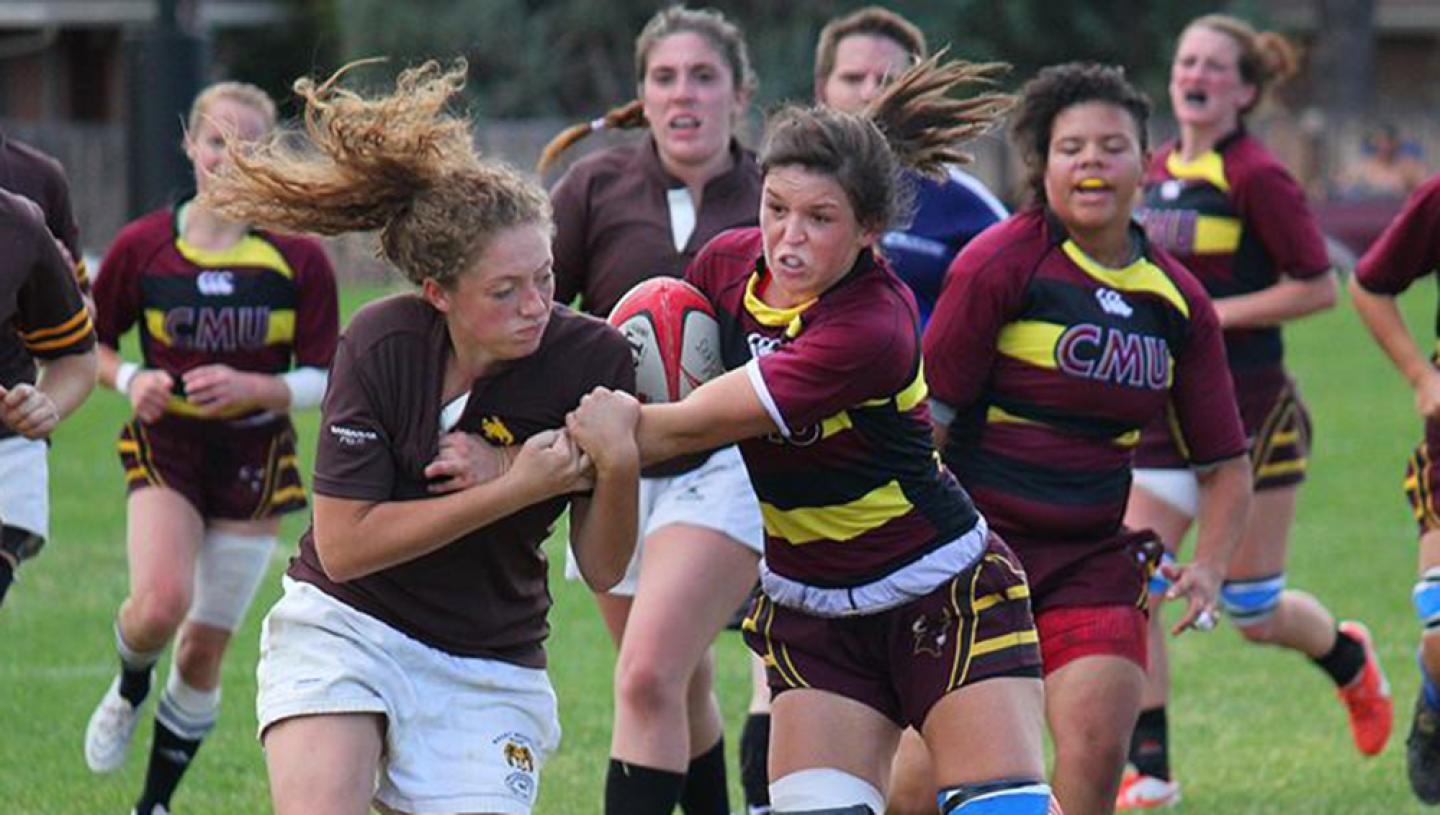 ColoradoMesa ClintonBrown ColoradoMesa ClintonBrown