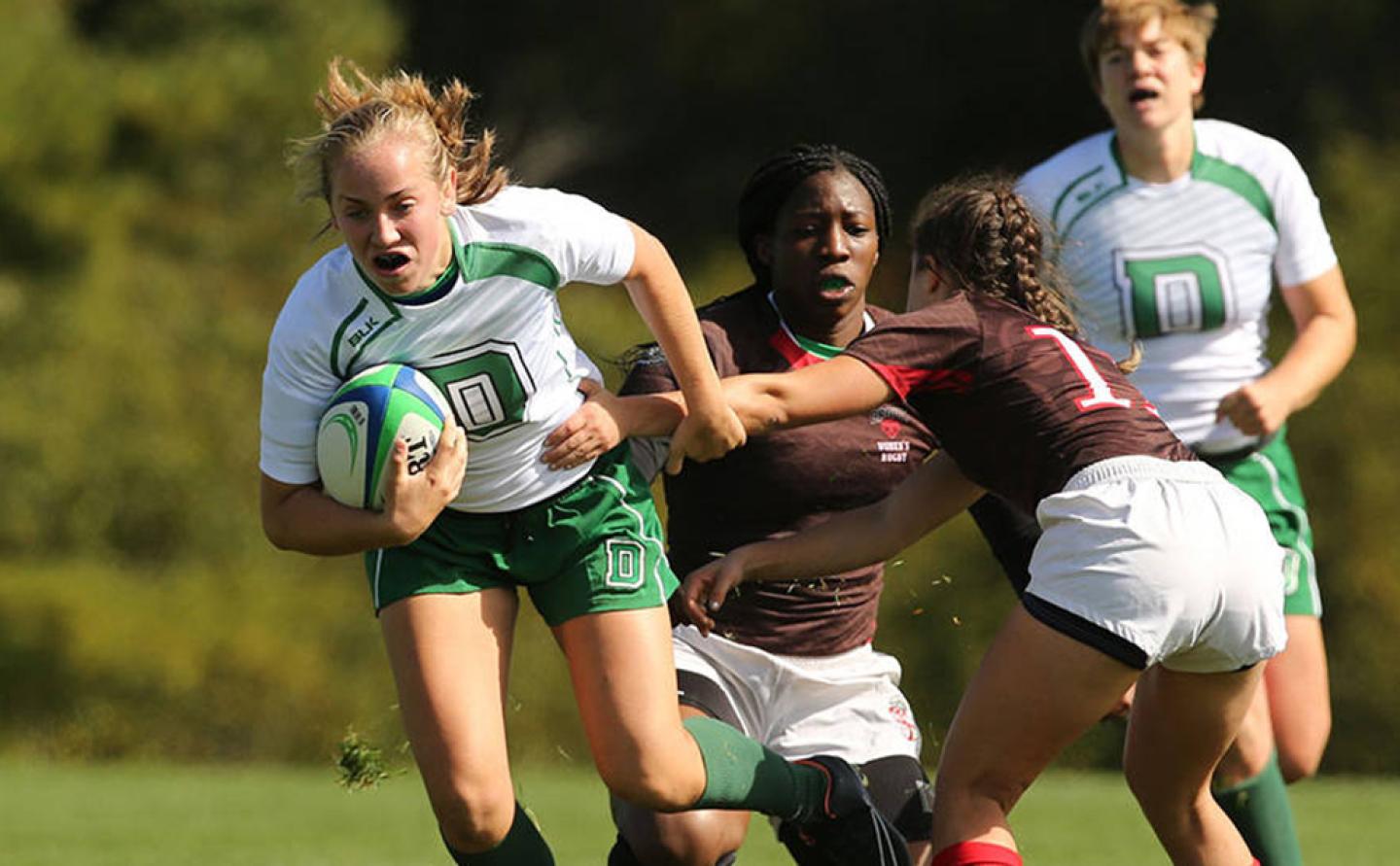 Dart Brown Dart Brown