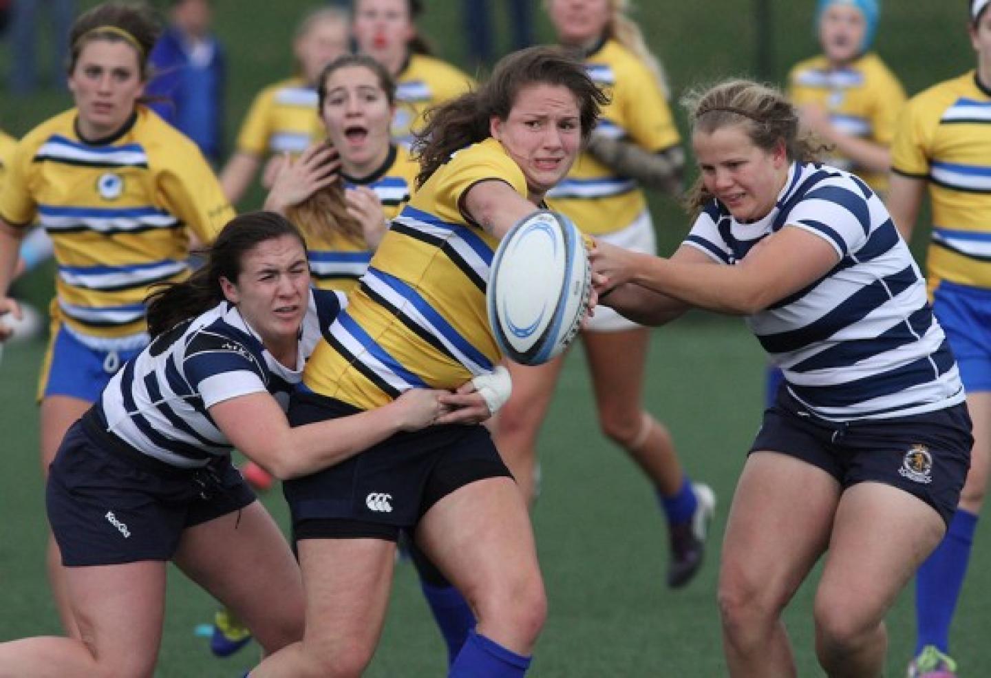 HannahLaw CraigHoutz HannahLaw CraigHoutz