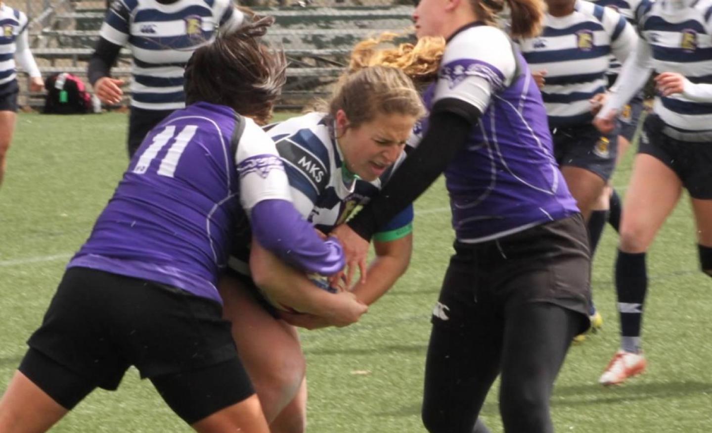 Image 5503 Image 5503