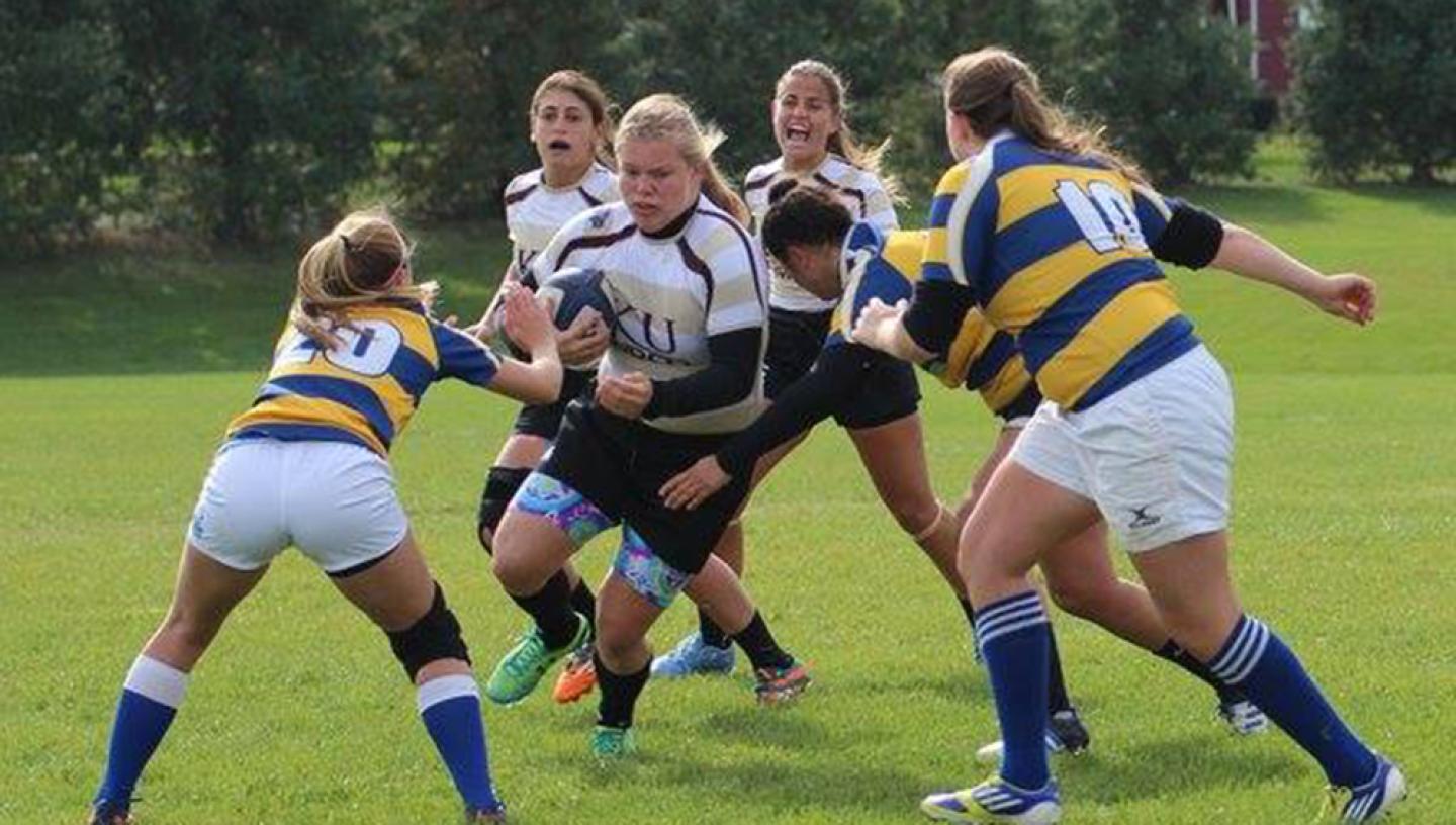 Kutztown Delaware fall2015 Kutztown Delaware fall2015