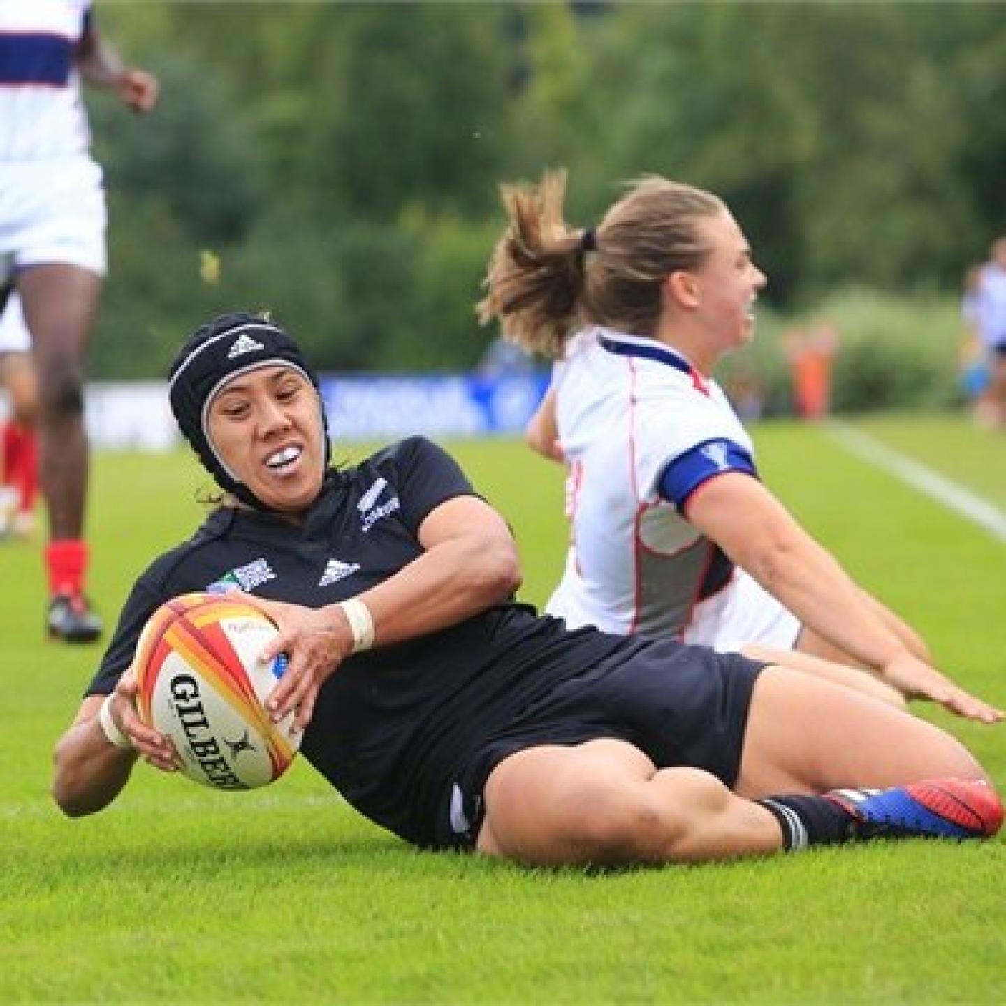 NZ IRB IPicarel NZ IRB IPicarel