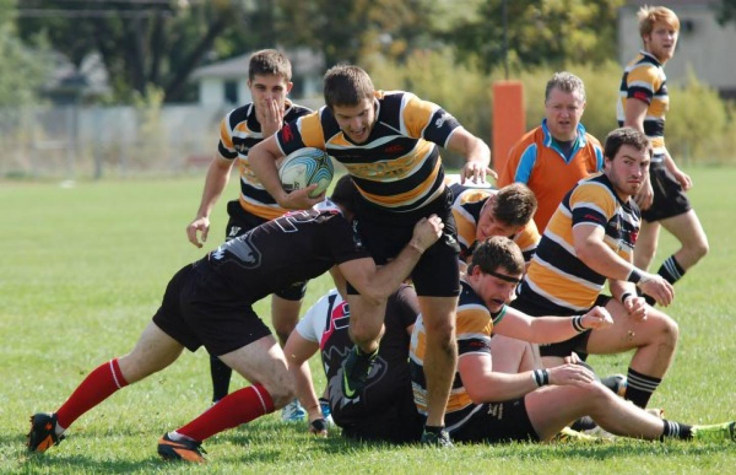 WMUvNIUOCt2014 0 WMUvNIUOCt2014 0